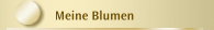Meine Blumen