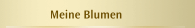 Meine Blumen